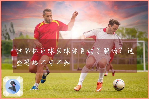 世界杯让球买球你真的了解吗？这些思路不可不知