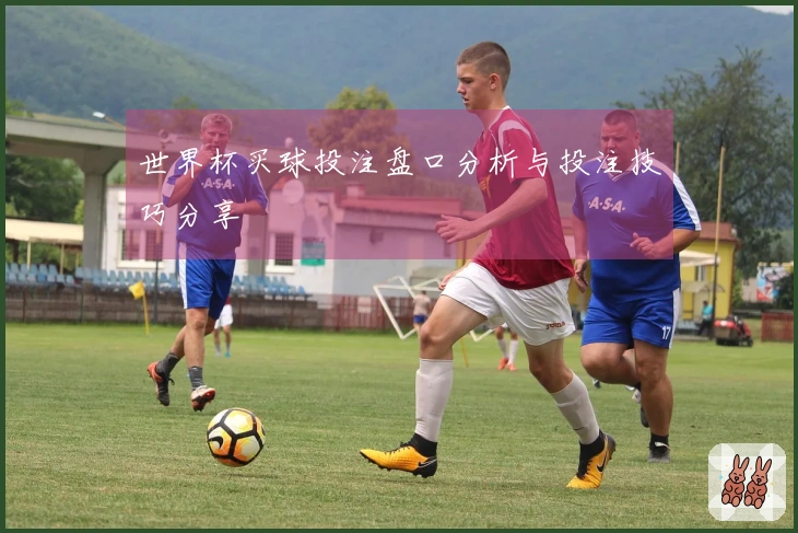 世界杯买球投注盘口分析与投注技巧分享