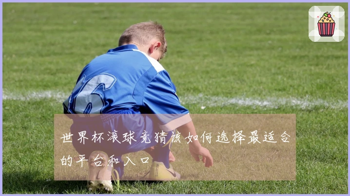 世界杯滚球竞猜该如何选择最适合的平台和入口
