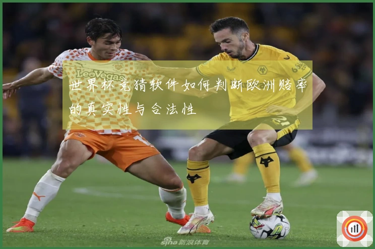 世界杯竞猜软件如何判断欧洲赔率的真实性与合法性