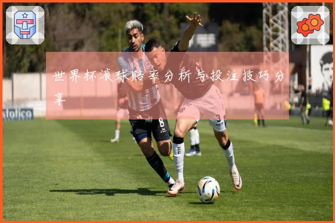 世界杯滚球赔率分析与投注技巧分享
