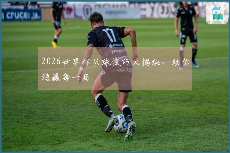 2026世界杯买球技巧大揭秘，助你稳赢每一局